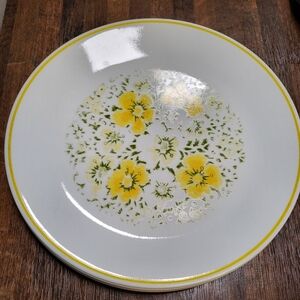 Set of two 10 inch April Showers Corelle dinner plates